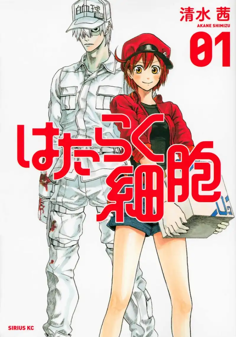 Ilustração especial de Akane Shimizu anunciando a adaptação kabuki