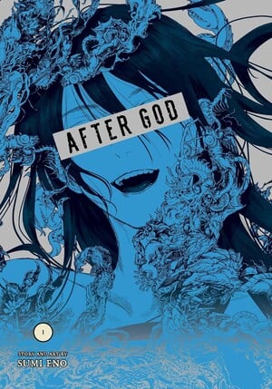 Capa do primeiro volume em inglês de After God
