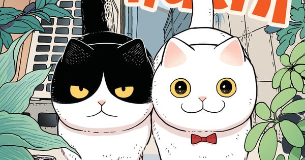 Gatos Maruru e Hachi, protagonistas de Cat Companions